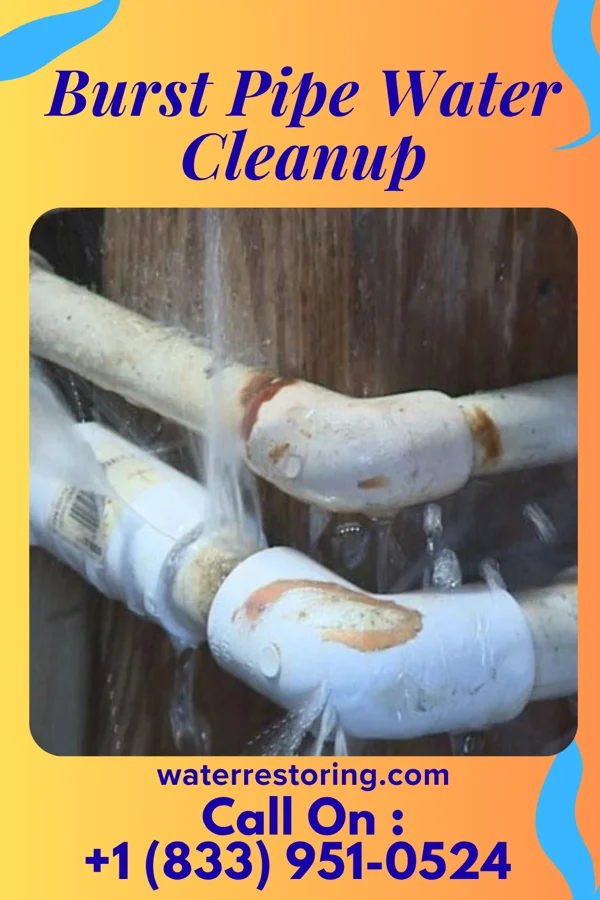 Burst Pipe Water Cleanup in East Farmingdale, NY