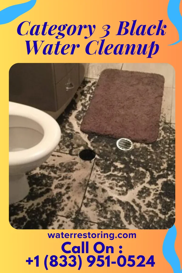 Category 3 Black Water Cleanup in East Farmingdale, NY