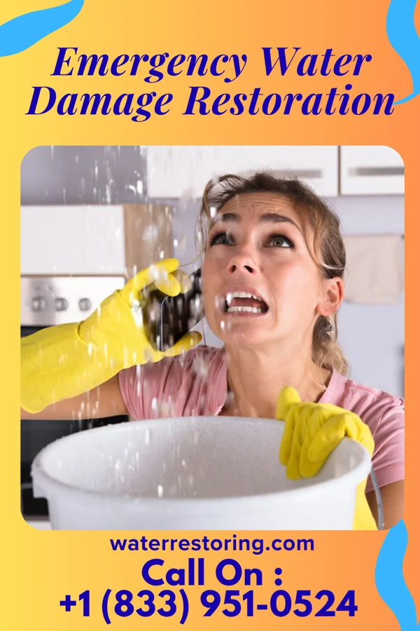 Emergency Water Damage Restoration in East Farmingdale, NY