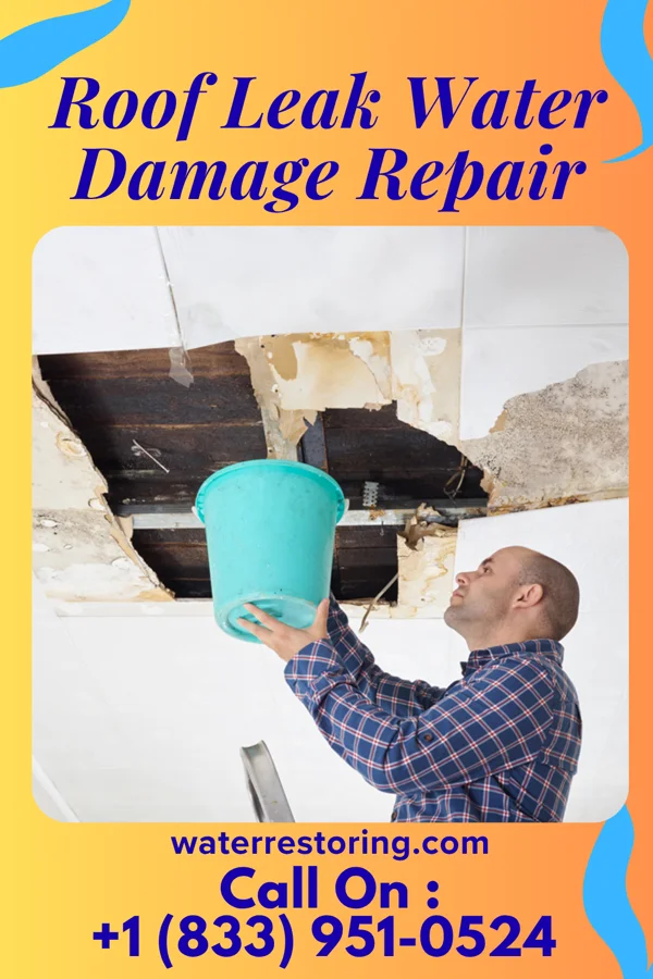 Roof Leak Water Damage Repair in East Farmingdale, NY